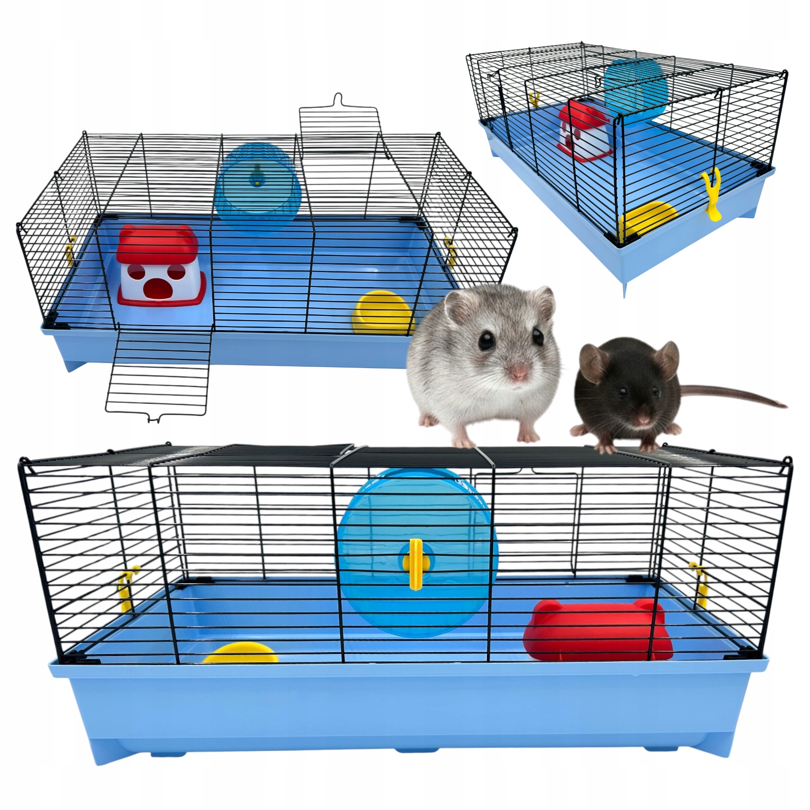 Klatka Domek Dla Chomika Myszy 55x31x25,5cm Pełne Wyposażenie Bezpieczna