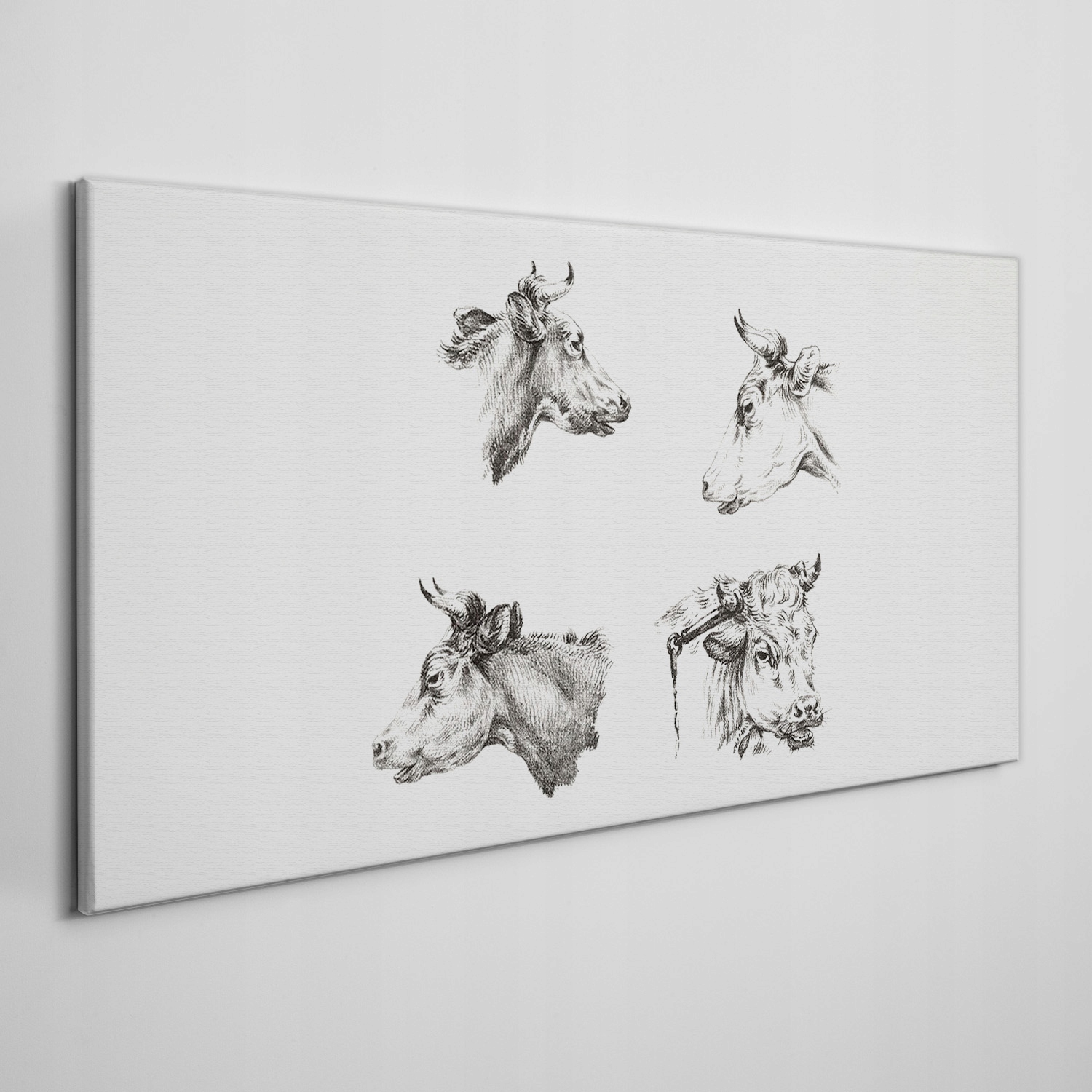 

Płótno foto obraz na ramie Zwierzęta krowy 140x70