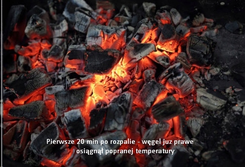 WĘGIEL DO GRILLA DRZEWNY ECO 2 KG DUŻE KAWAŁKI Waga 2 kg