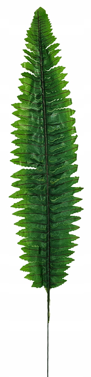 LIŚĆ PAPROCI Z1 KWIATY SZTUCZNE LIŚCIE dodatek Kod producenta LIŚĆ PAPROCI Z1