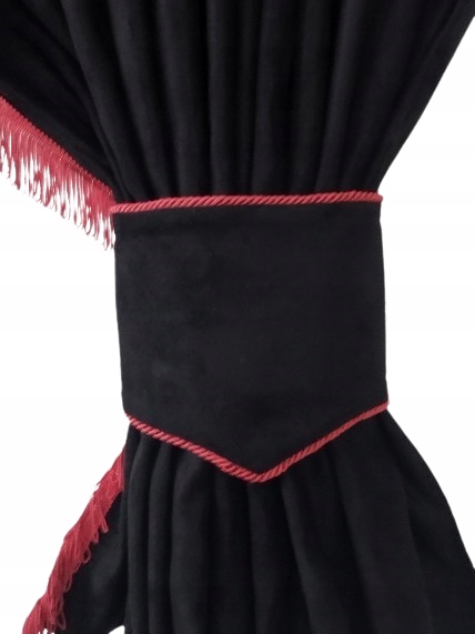 Zasłona TIR typu Standard - MAN NOWY MODEL TGX OD 2020r Rodzaj zasłony