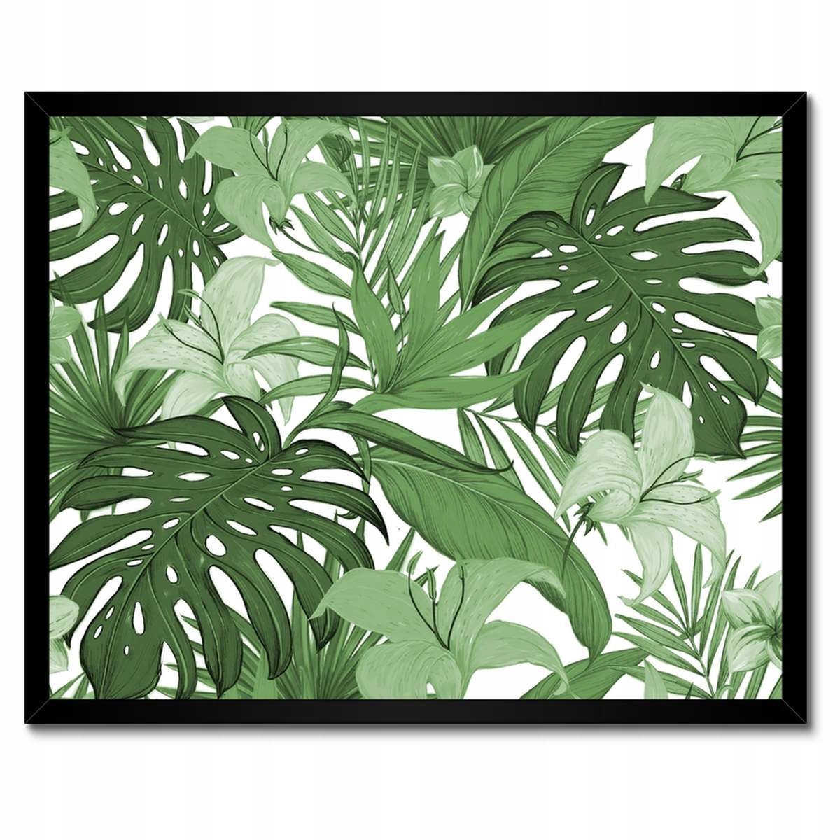 Plakáty v rámu 50x40 Monstera Moderní vzor