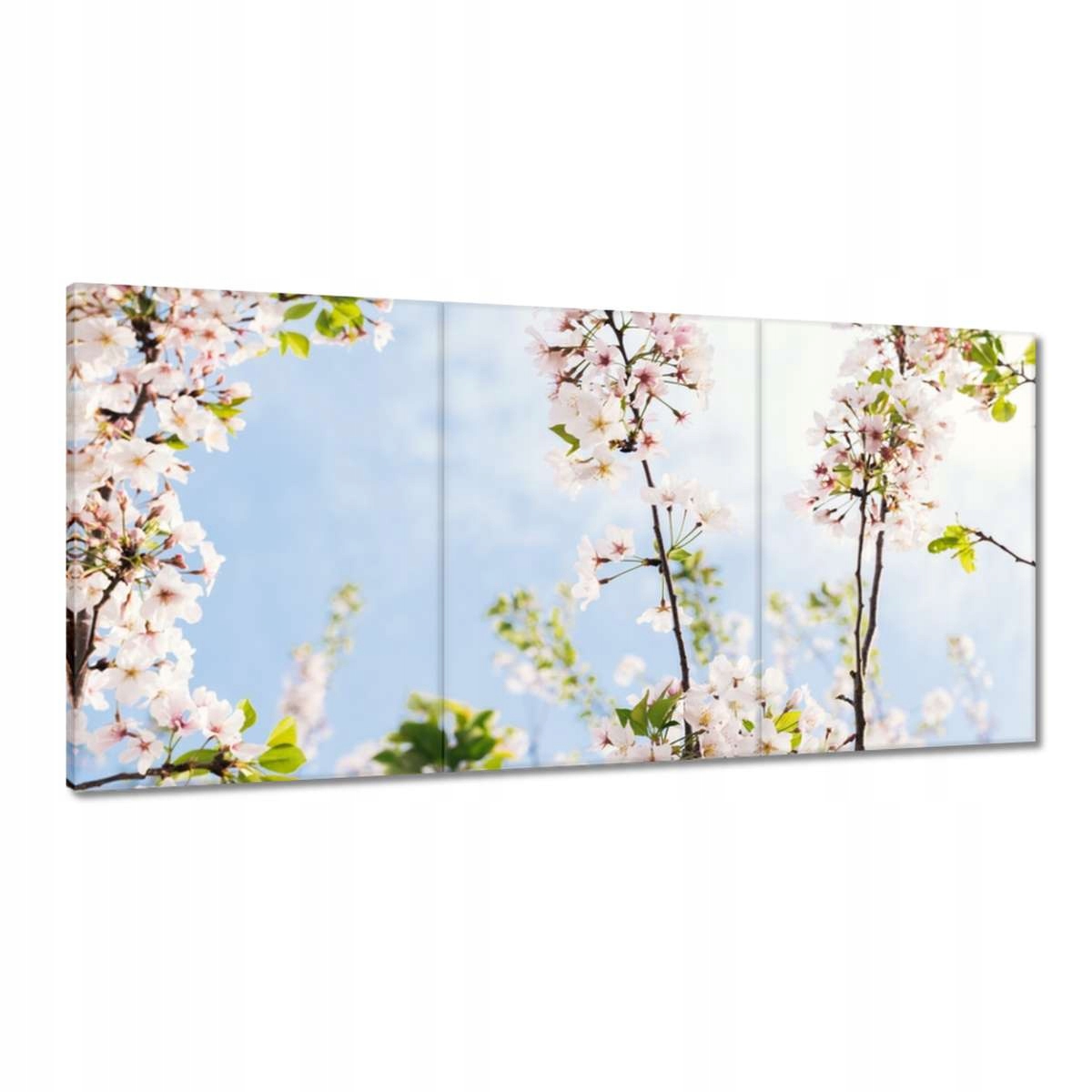 Obrazy 120x60 Květiny Květiny