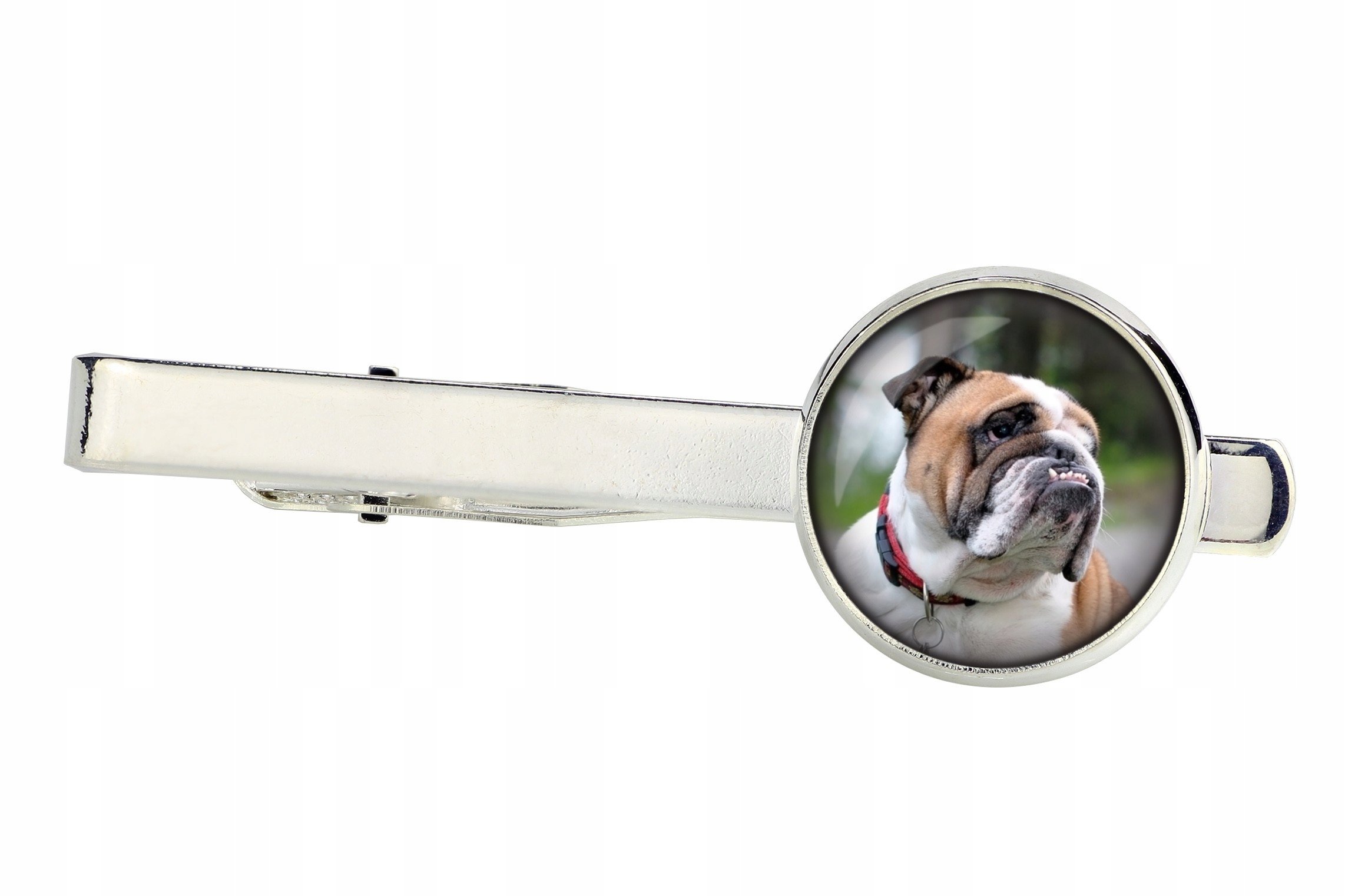 

Buldog angielski Spinka do krawata Twoje zdjęcie