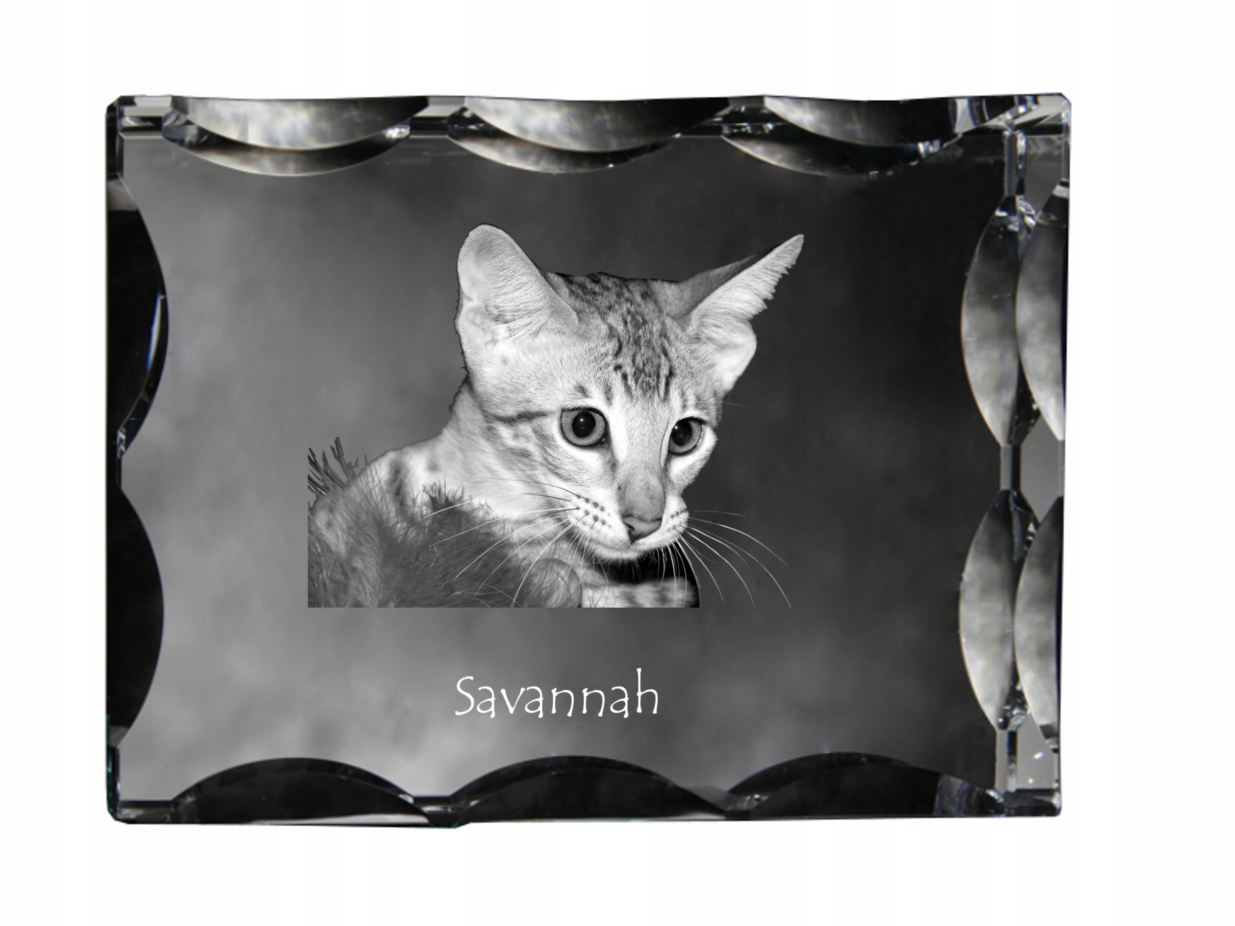 Mačka Savannah fotografia v ozdobnom kryštáli, suvenír, dekorácia domu