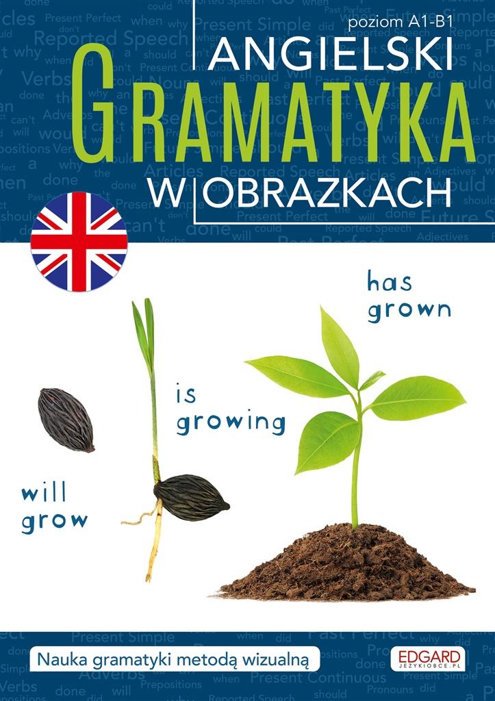 

Angielski. Gramatyka w obrazkach