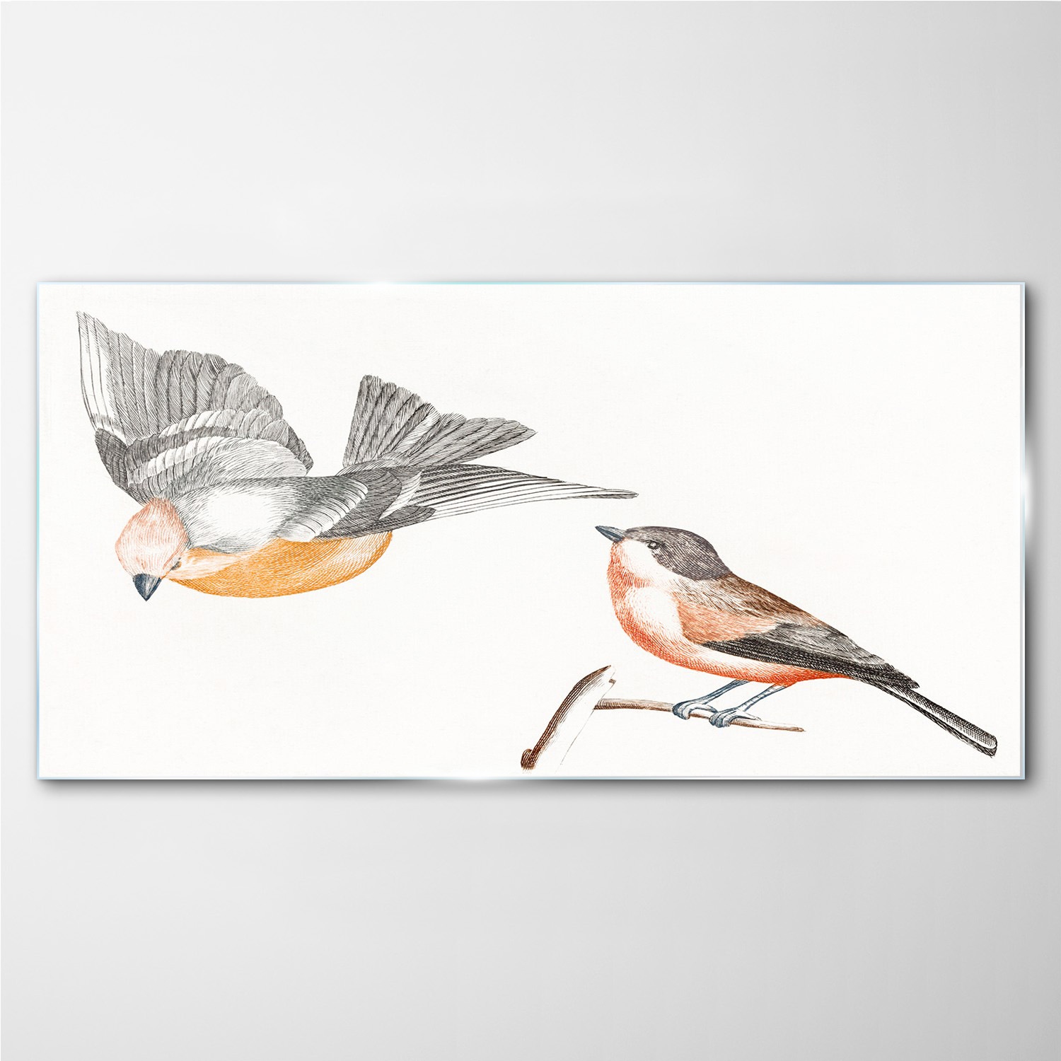 

Foto-obraz szklany Zwierzę ptak gałąź 100x50 cm