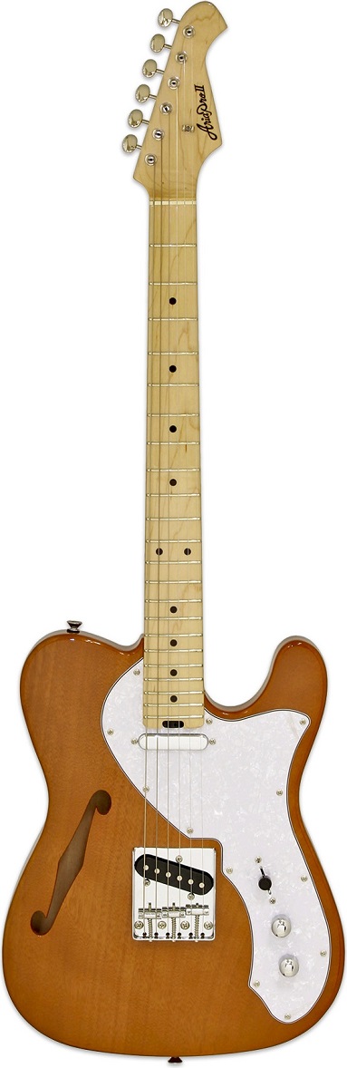 Aria Teg-tl (n) elektrická kytara