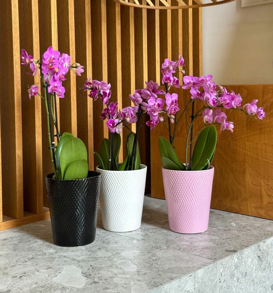 Osłonka Doniczka Ceramiczna Orchid 13x15 cm różowa Wysokość produktu 15 cm