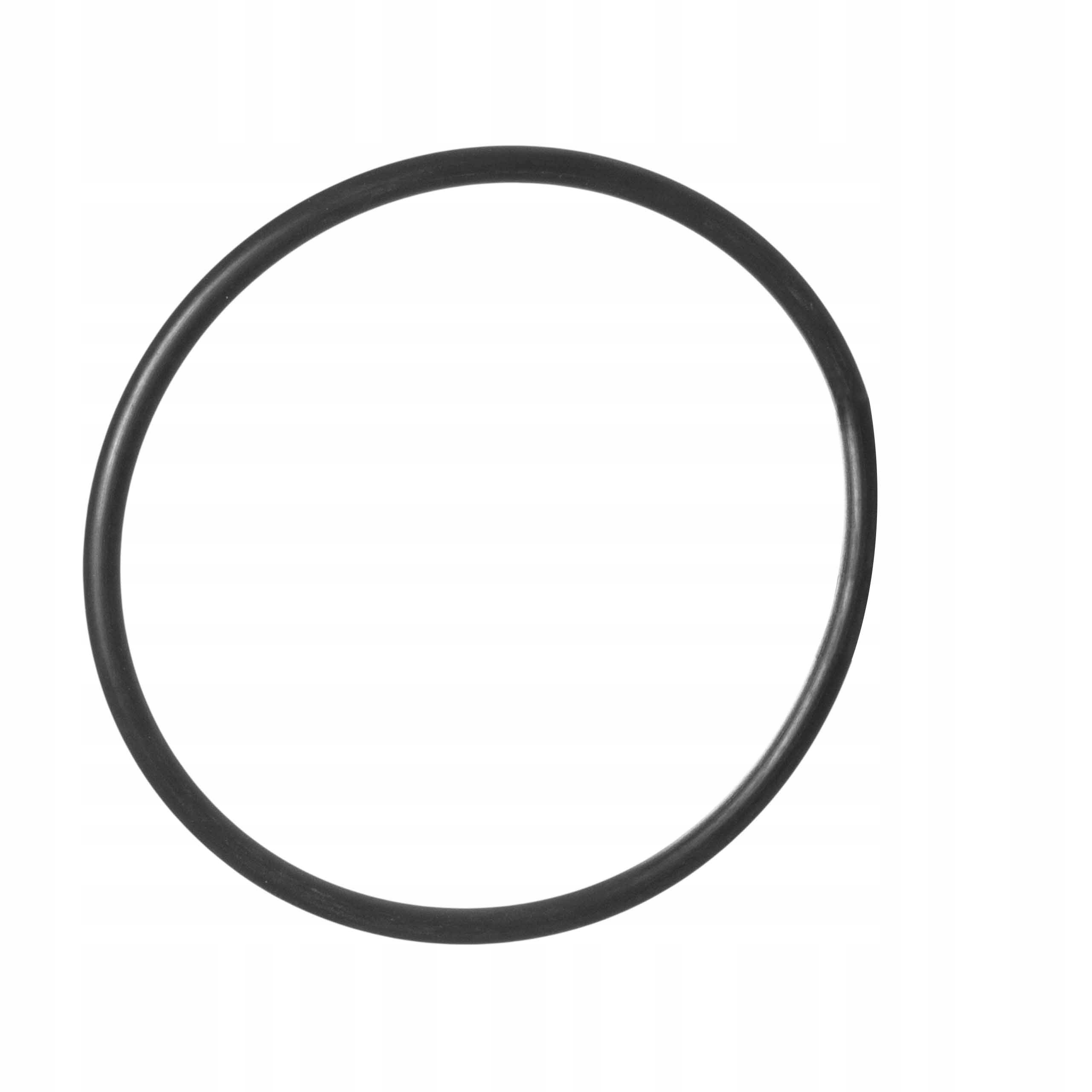 ORING USZCZELKA DO KORPUSÓW 10 CALI