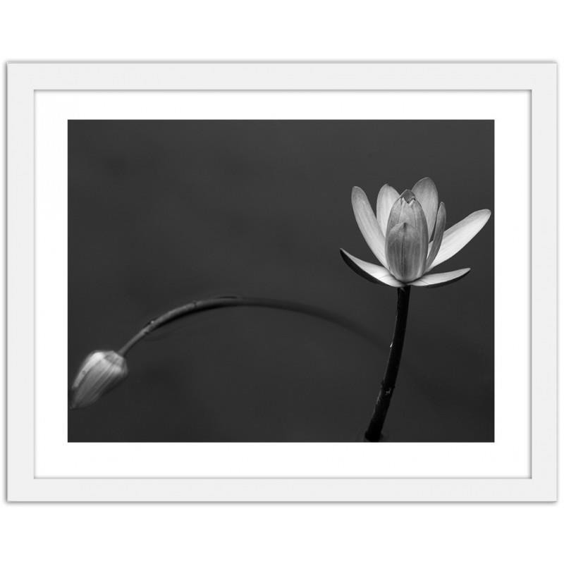 

Obraz W Ramie Na Ścianę Biały Kwiat Kwiaty 60x40