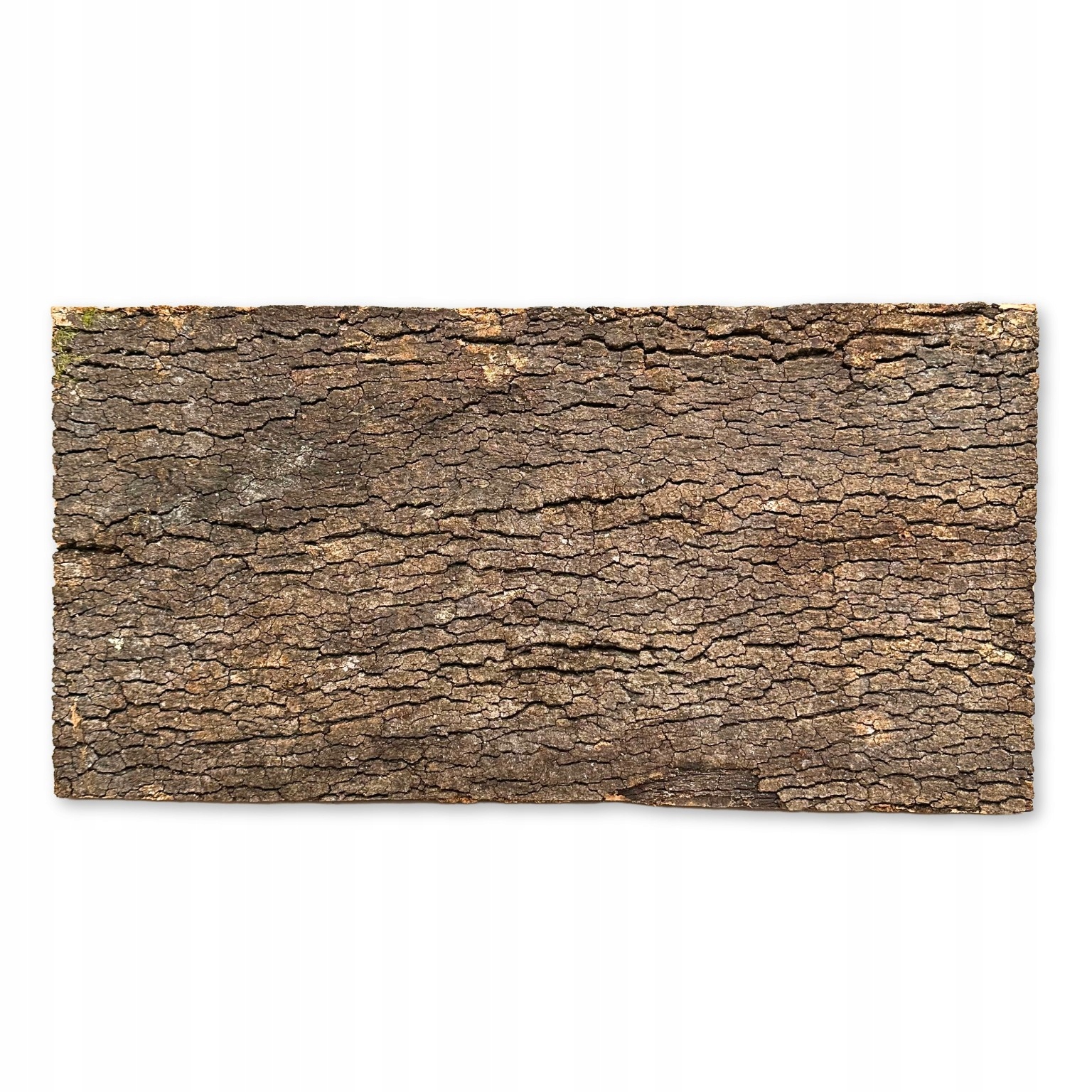 Levně Biovirgin Cork Background Dark 60x30 cm korkové pozadí do terária