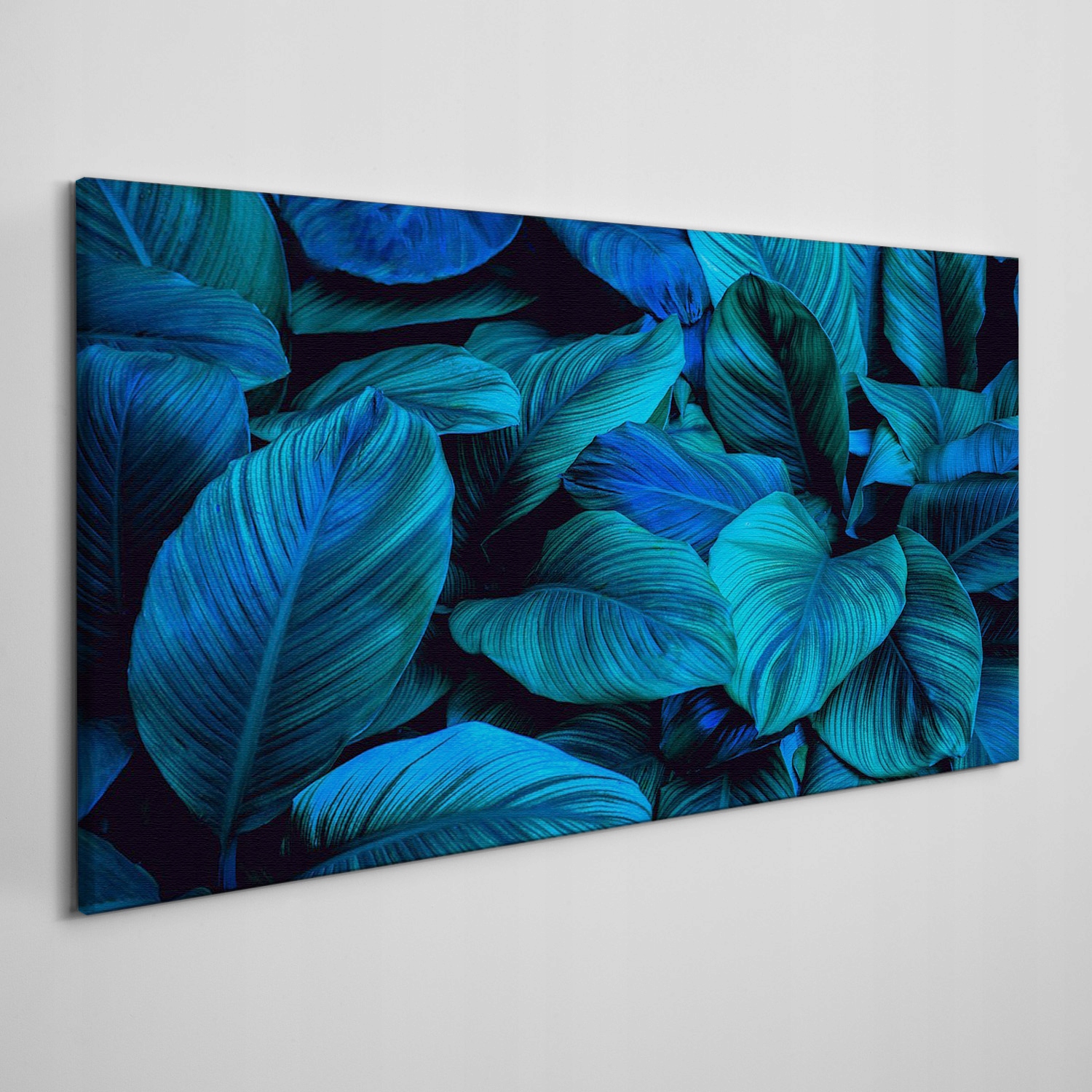 

Foto-obraz na ramie płótno Kwiat roślina 120x60 cm