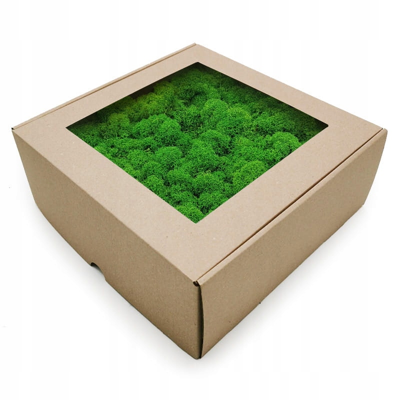 MECH CHROBOTEK Fiński OCZYSZCZONY 2kg NETTO LETNI Wysokość produktu 20 cm