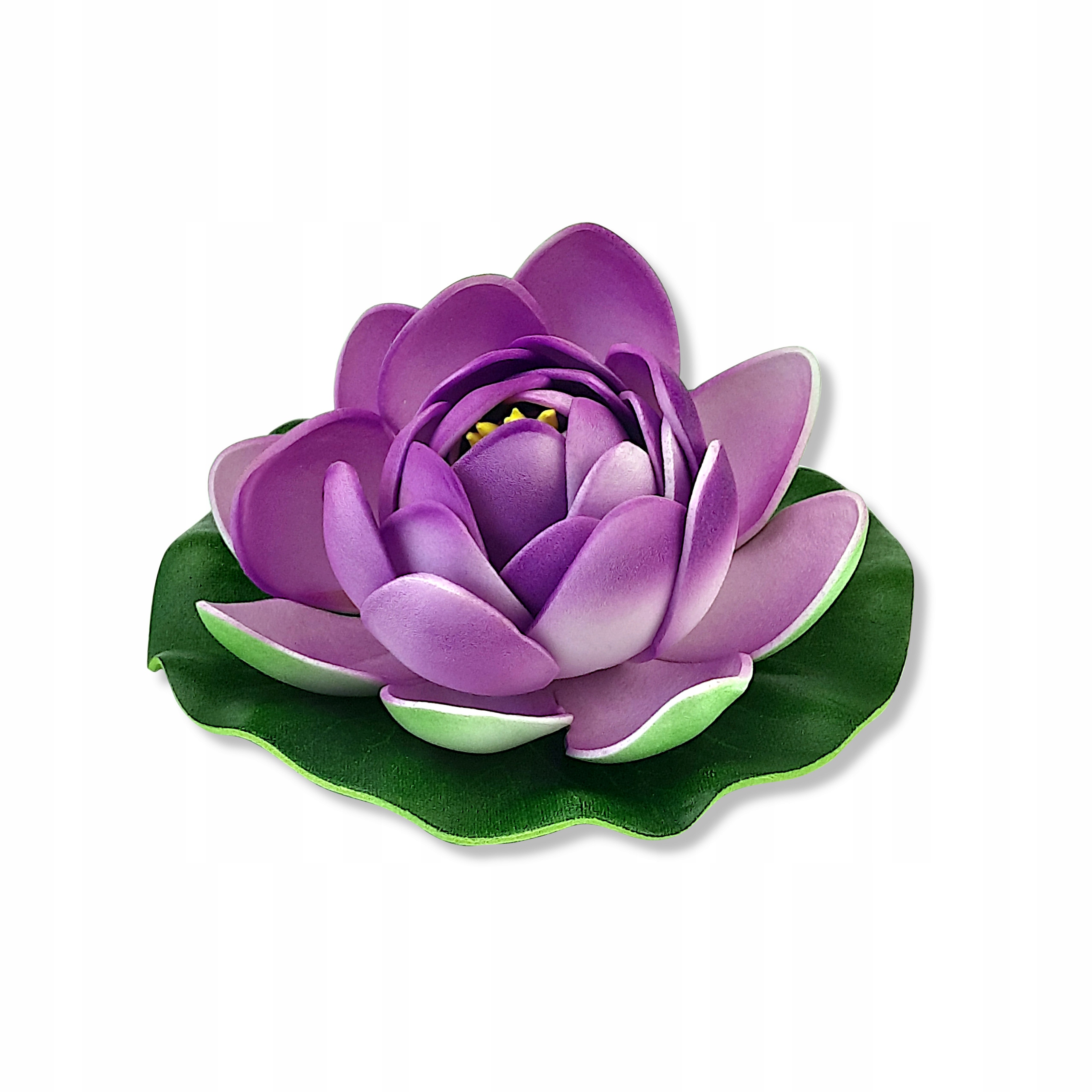 Lilia wodna pływająca foletowa 11 cm alabaster