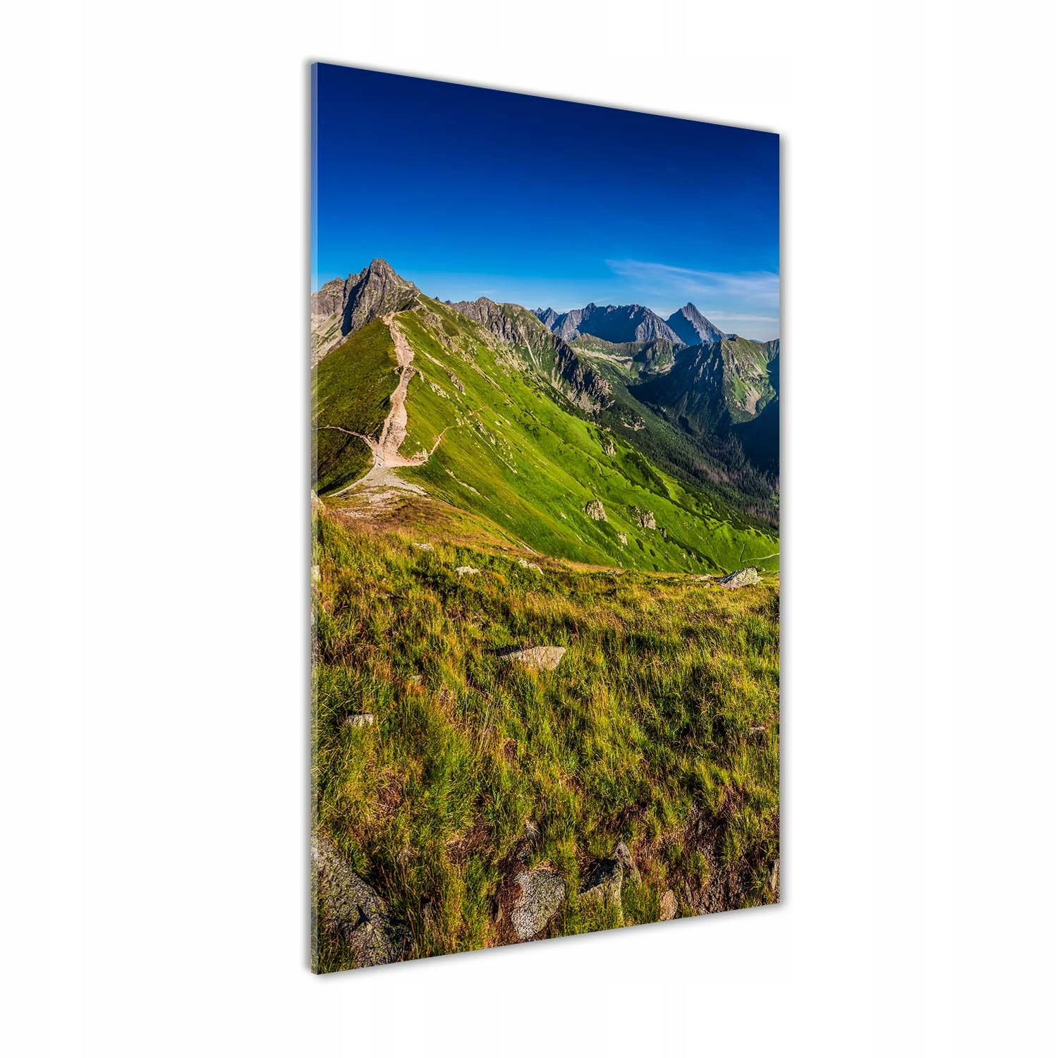 

Fotoobraz szklany na ścianę do salonu Tatry 50x100