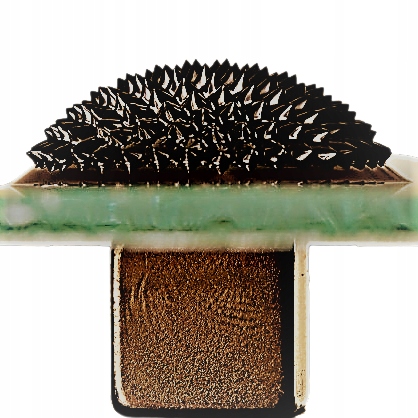 

Ferrofluid ciecz magnetyczna (10 ml)