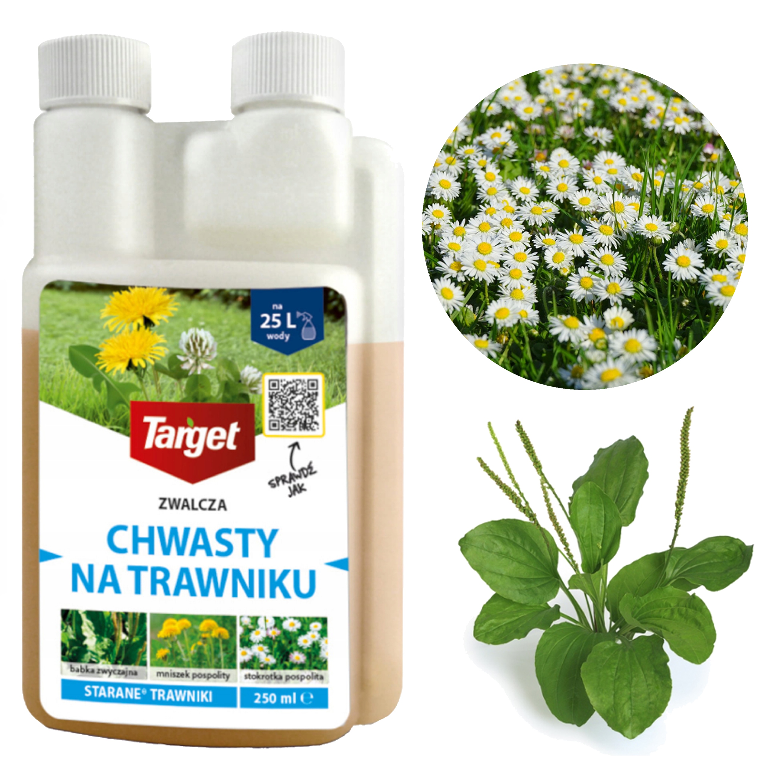 Target Starane 250 ML Oprysk Środek Na Chwasty W Trawie Bezpieczny Preparat