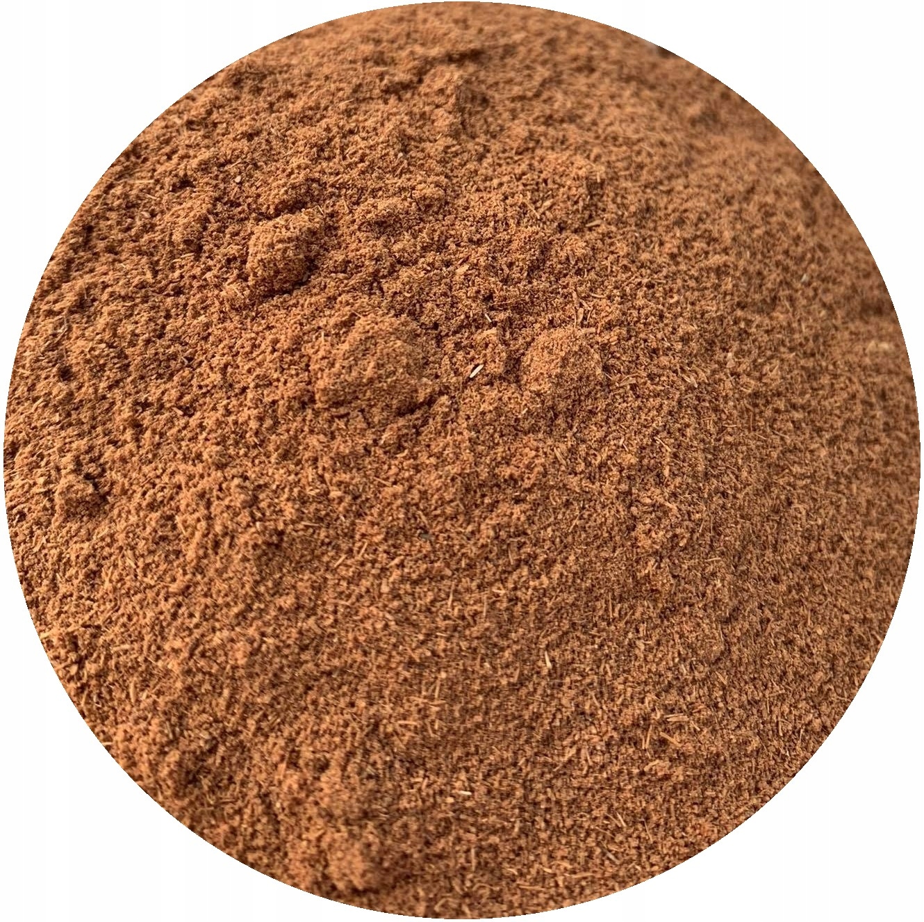 Galgant Mletý kořen Alpinia officinarum Gao Liang Jiang MysticGarden 1 kg