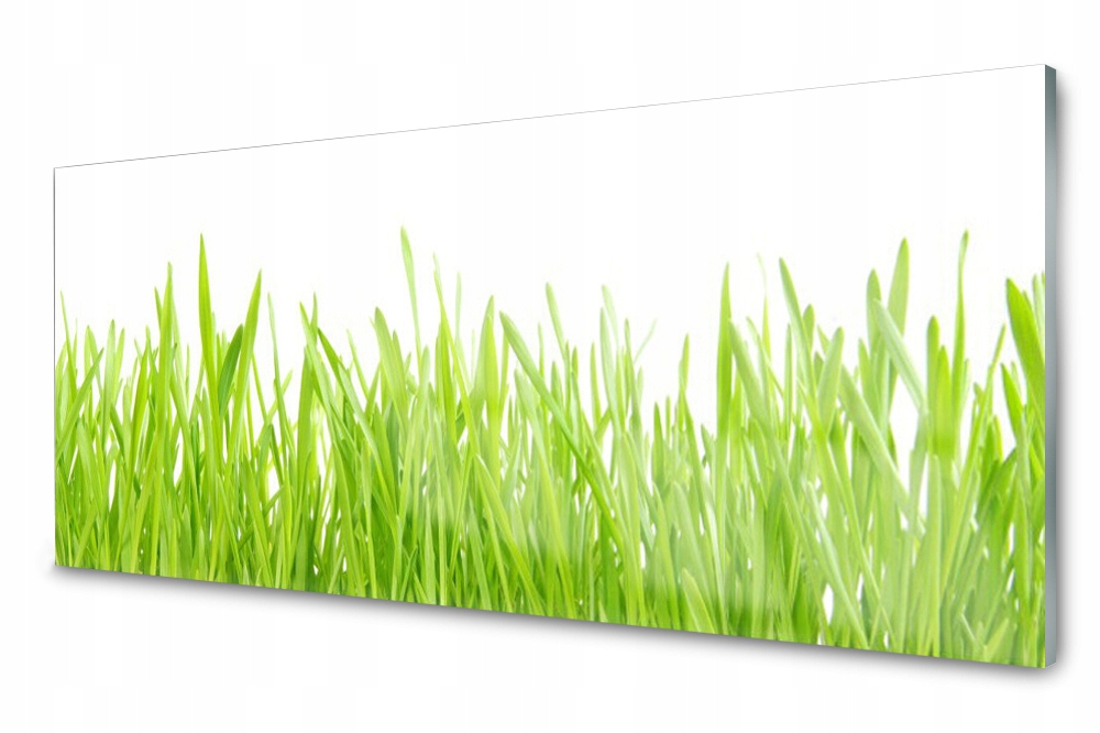 

Panel szklany do kuchni Trawa Roślina 125x50