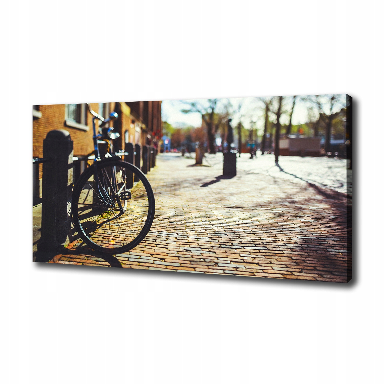 

Foto obraz na płótnie Rower w Amsterdamie 100x50cm