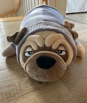 PIES MOPS BULDOG SWETEREK MASKOTKA PODUSZKA ZAGŁÓWEK PRZYTULANKA