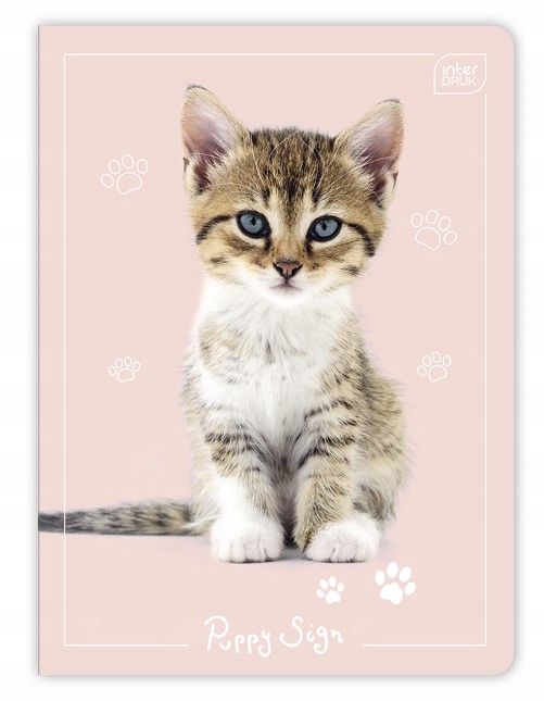 INTERDRUK ZESZYT A5/16 linia kolorowa PUPPY PIESKI KOTKI