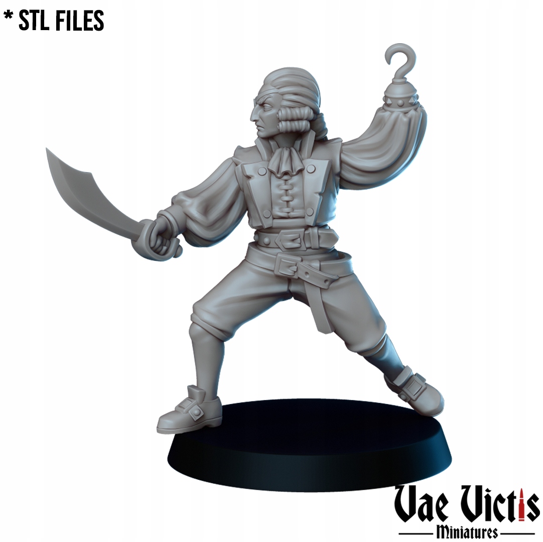 Fancy Pirate 01 - x1 - 3dmonkeypl