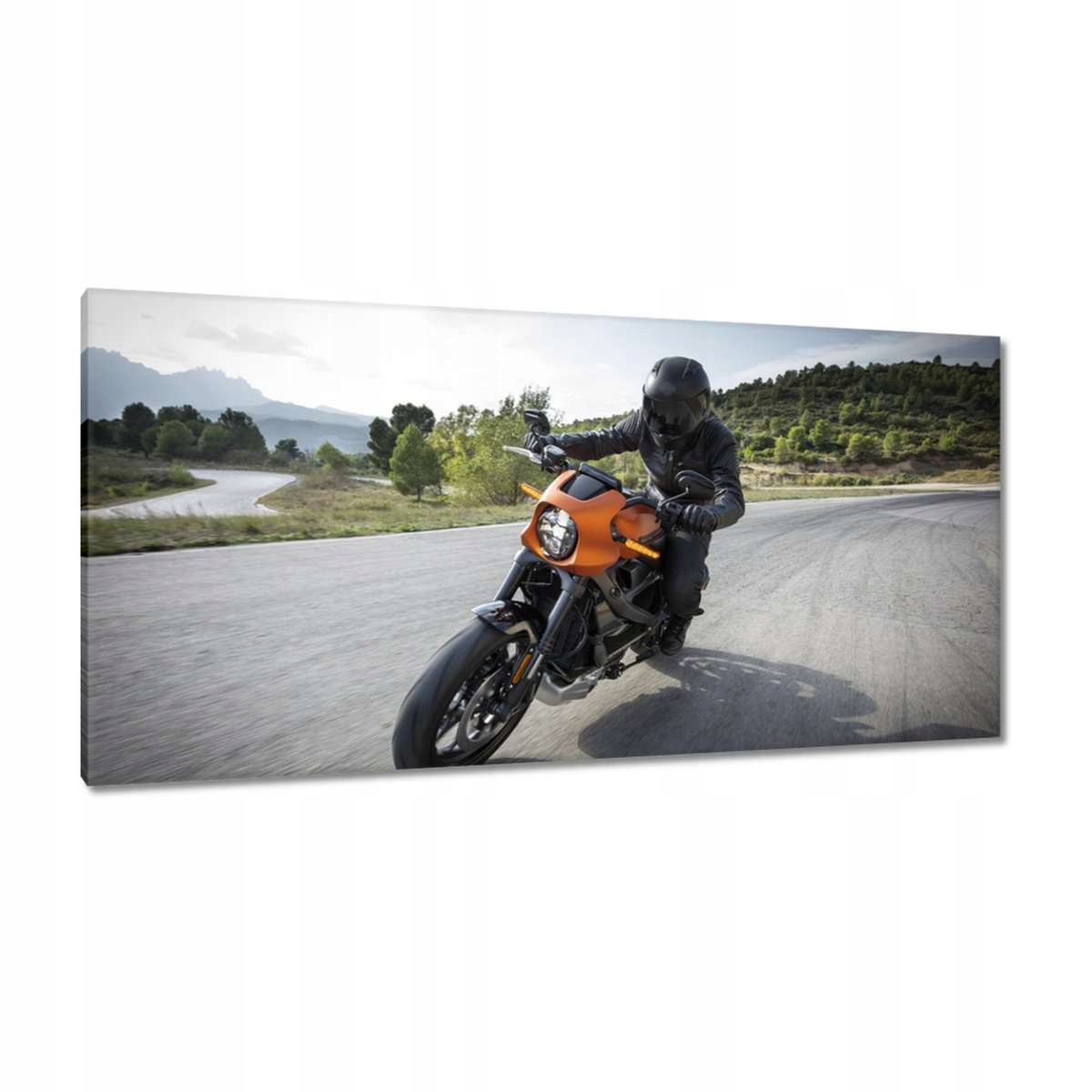 Obrazy 115x55 Harley Davidson Motocykl