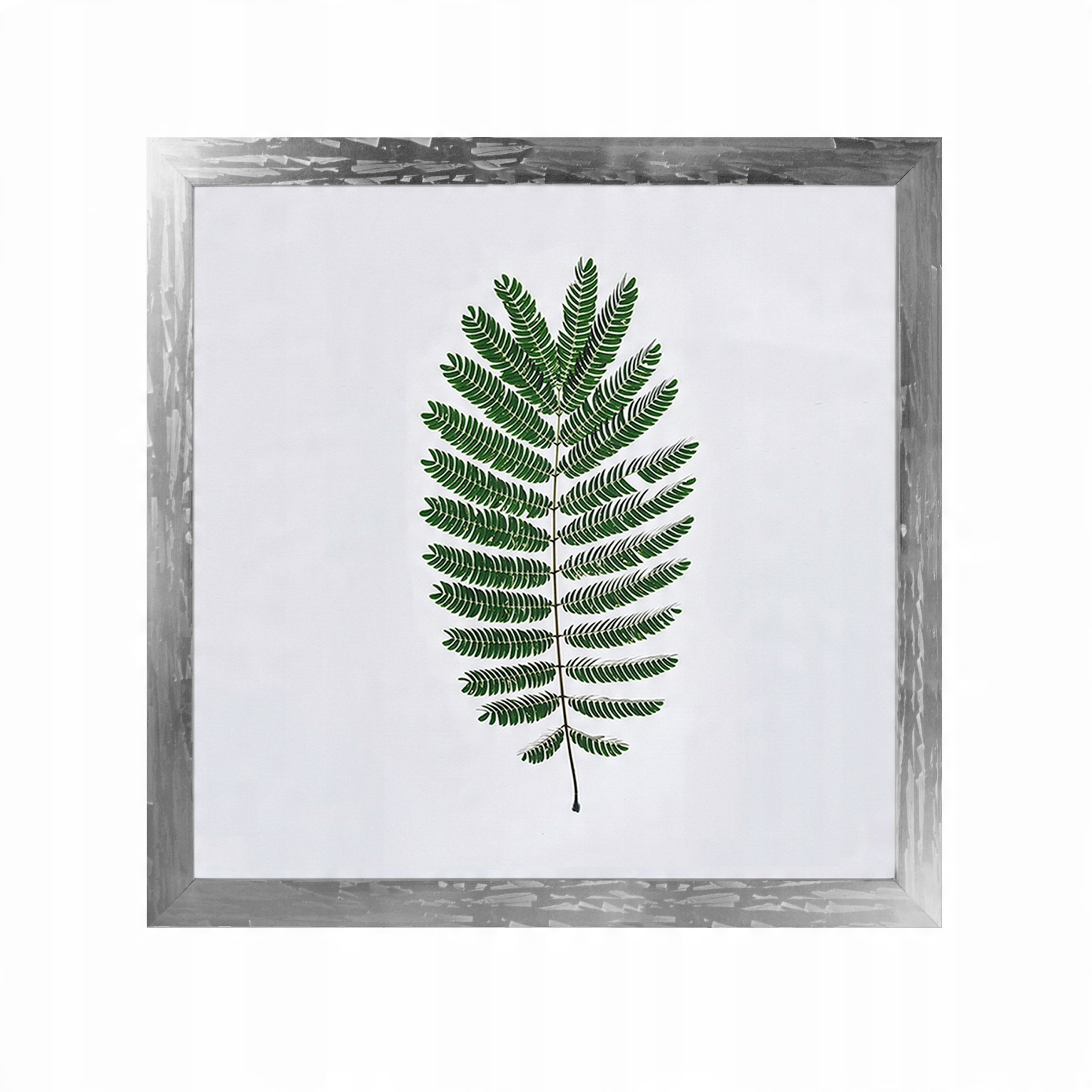 

Ramka na zdjęcia 40x40 Ramki Srebrna