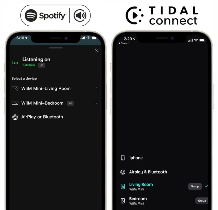WIIM MINI ODTWARZACZ STRUMIENIOWY STREAMER WIFI BT Obsługiwane formaty audio .mp3 .wma .aac .flac .aif .ogg .wav .ape