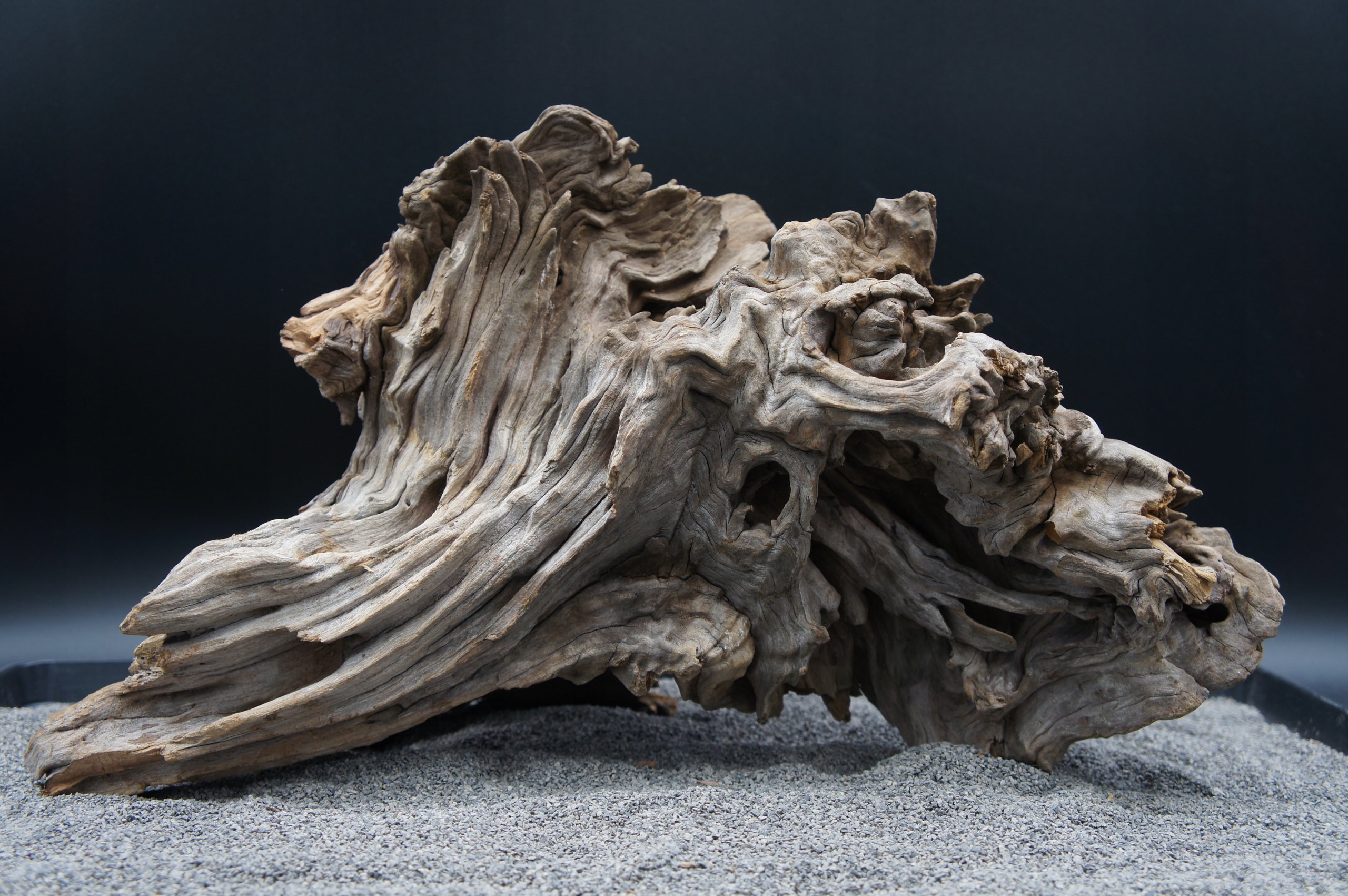 Kořen pro terarijní akvárium jagged wood 45 cm Jako Na Obrázku (J49)