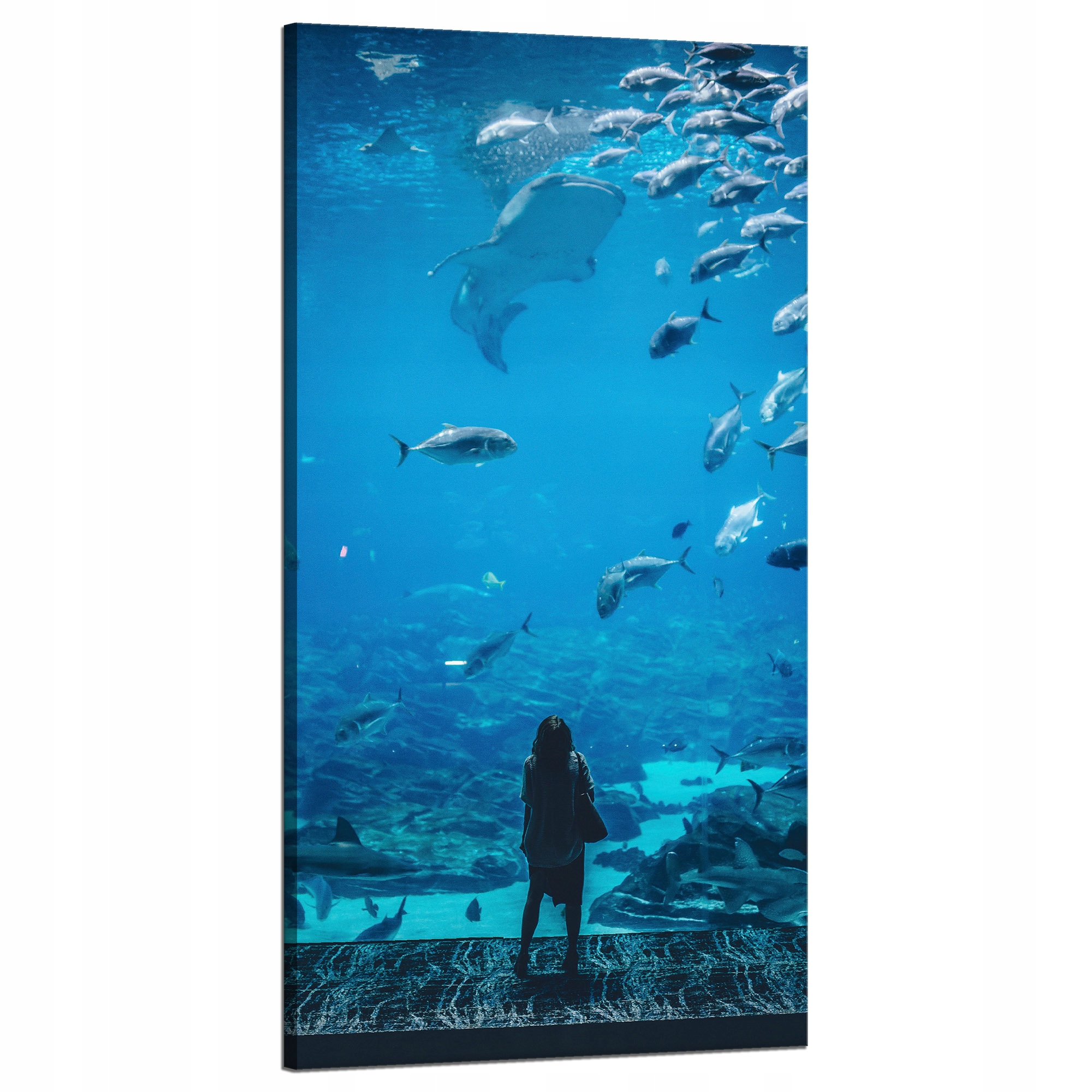 Obraz na plátně Lidé Akvárium Voda Mořský oceán Život 60x120 cm