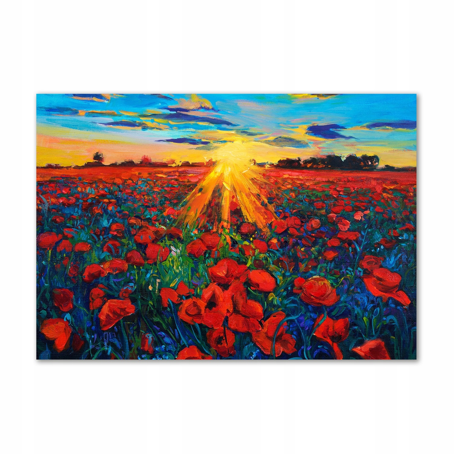 

Obraz zdjęcie na ścianę akryl Pole maków 100x70 cm