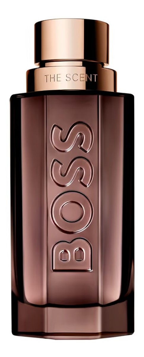 Hugo Boss Boss The Scent for Him Parfém sprej 100 ml