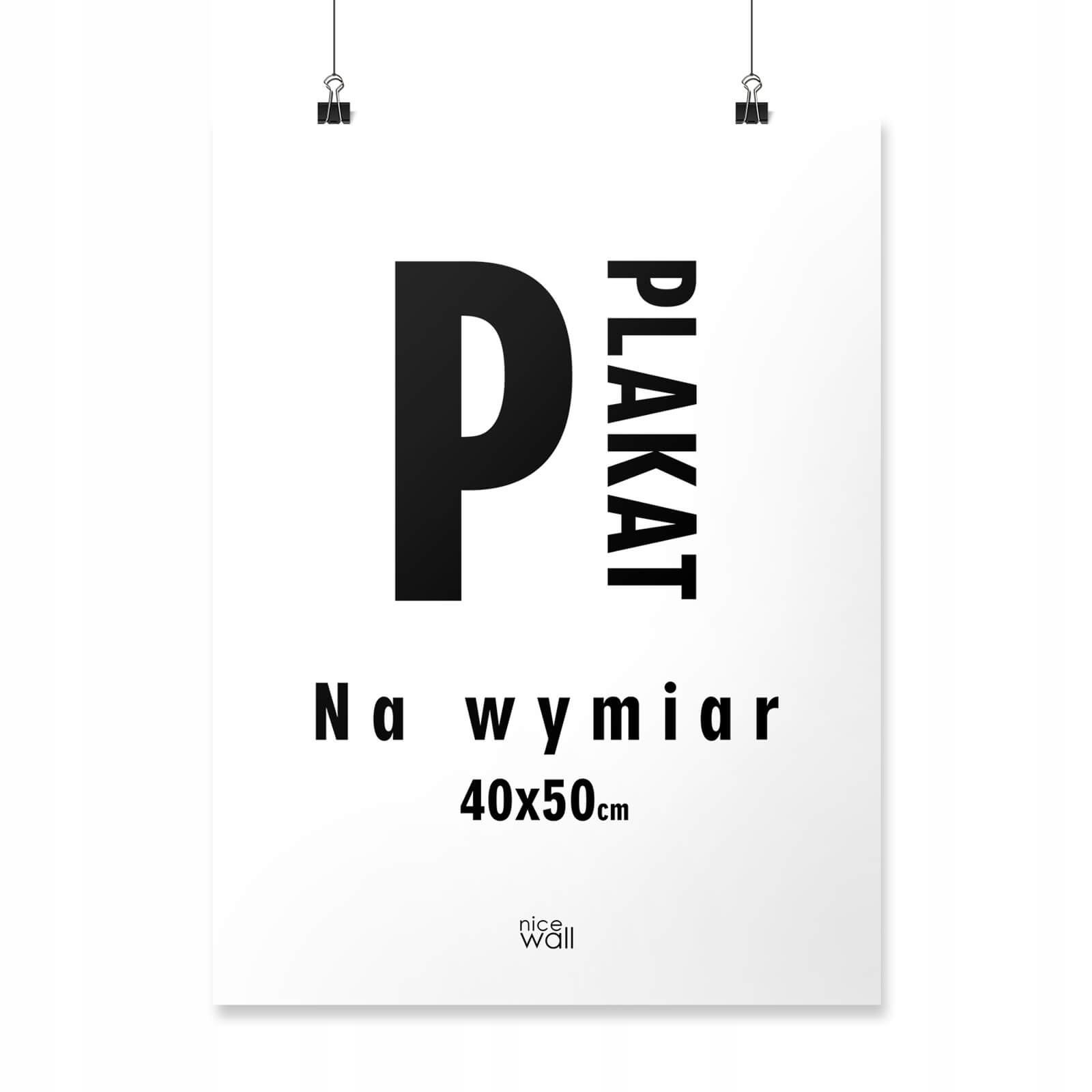 

Plakat 40x50 cm Wydruk cyfrowy papier 200g/m2