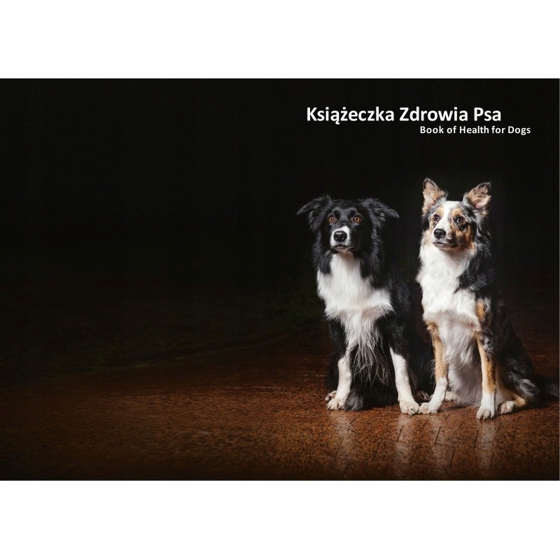 

Książeczka zdrowia psa Border collie