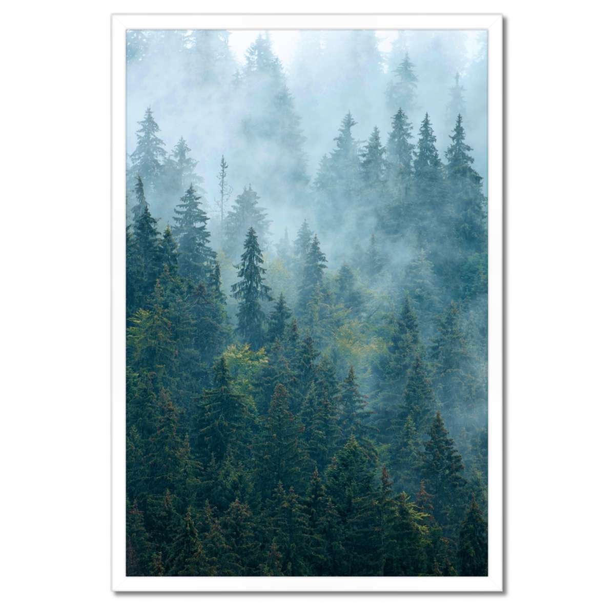Plakáty v rámu 40x60 Les v mlze Cestování