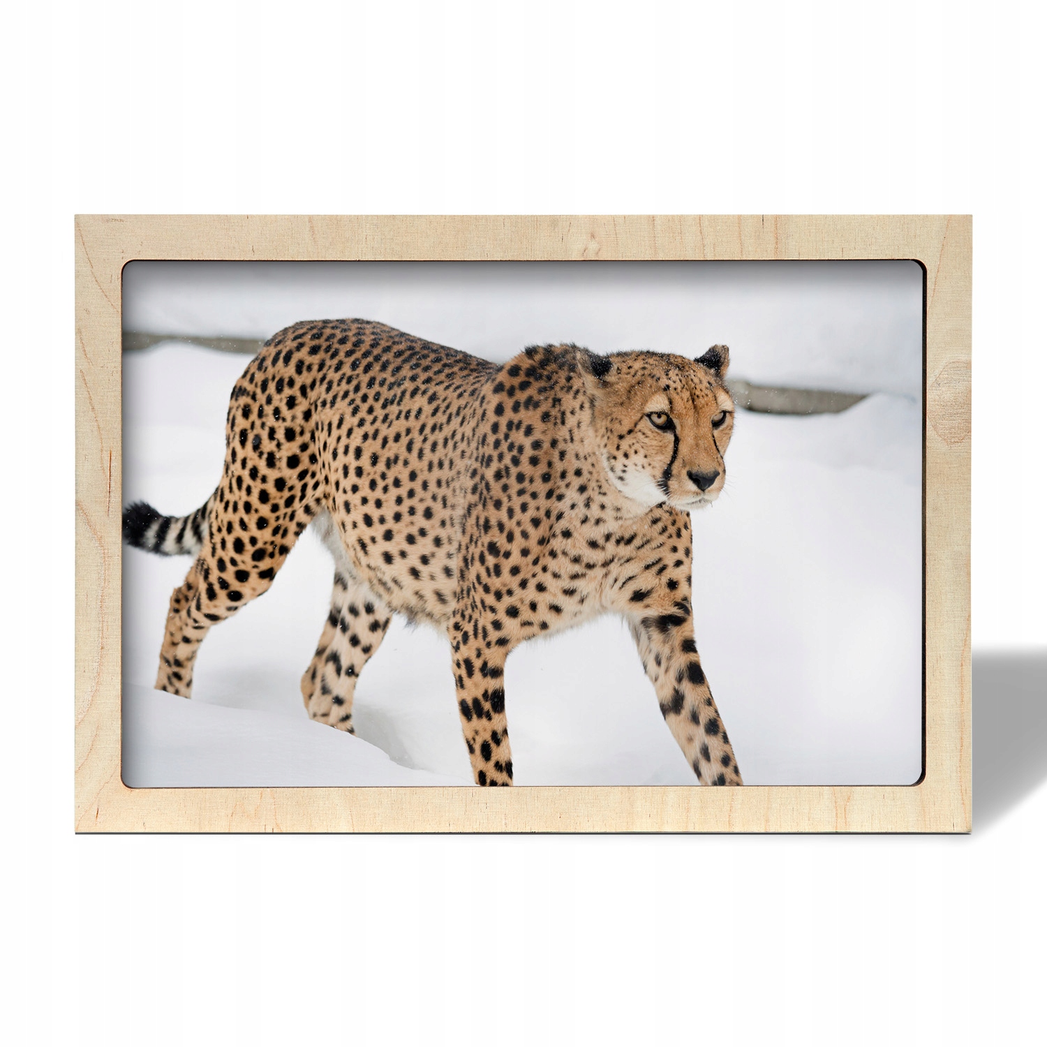 Fotoobraz rám na zeď Gepard zimní sníh 55x35