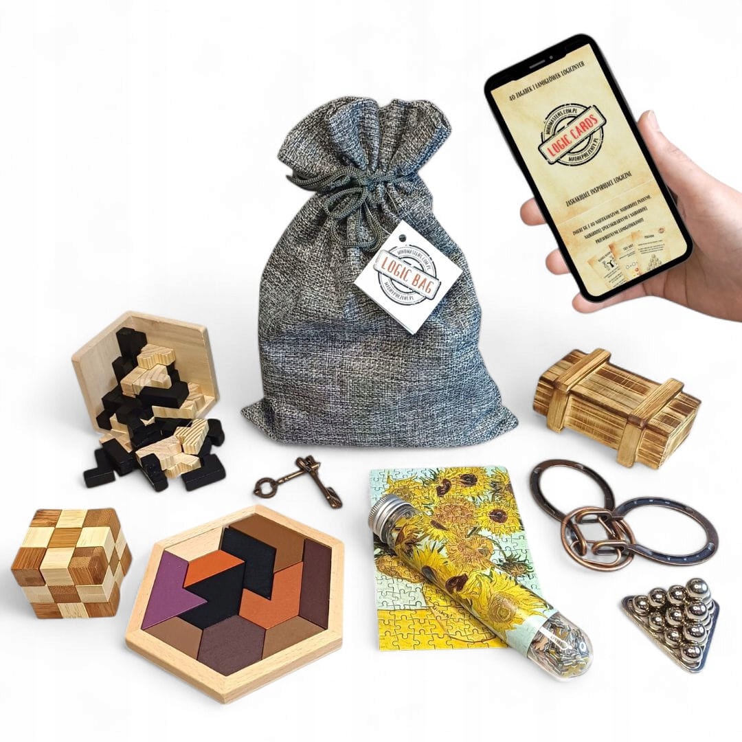 Łamigłówki dla nastolatka dorosłych drewniane metalowe Logic Bag