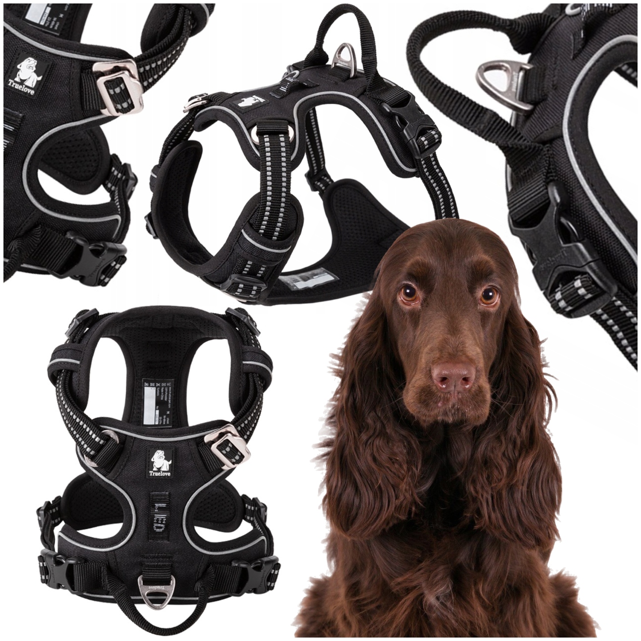 Levně Postroje Pro Psa Nastavitelné Truelove Front Line Premium Pevné Černé L