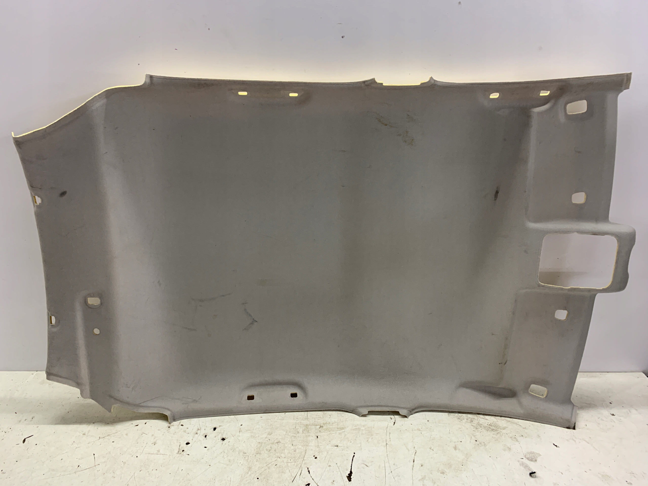 CIELO INTERNO 739101163R RENAULT CLIO IV