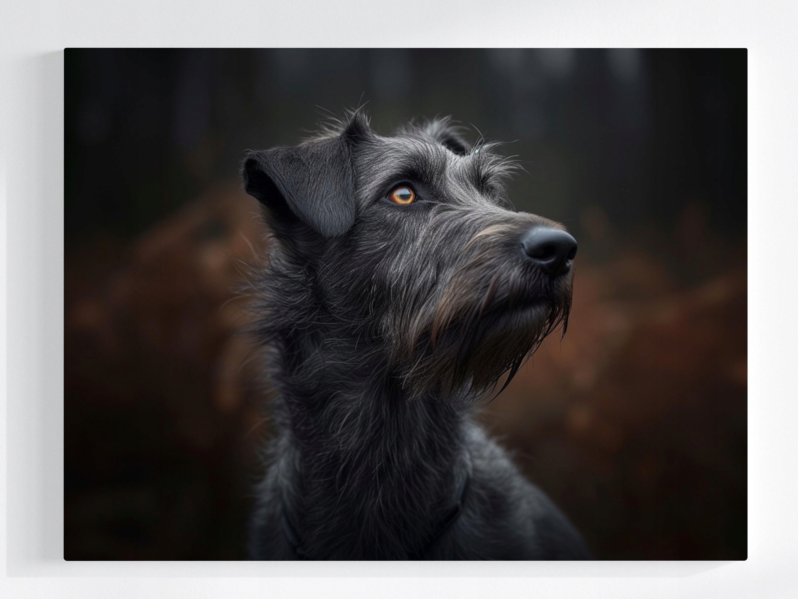 Obraz Na Plátně Canvas Portrét Psa Irský Vlkodlak Wolfhound 80x60