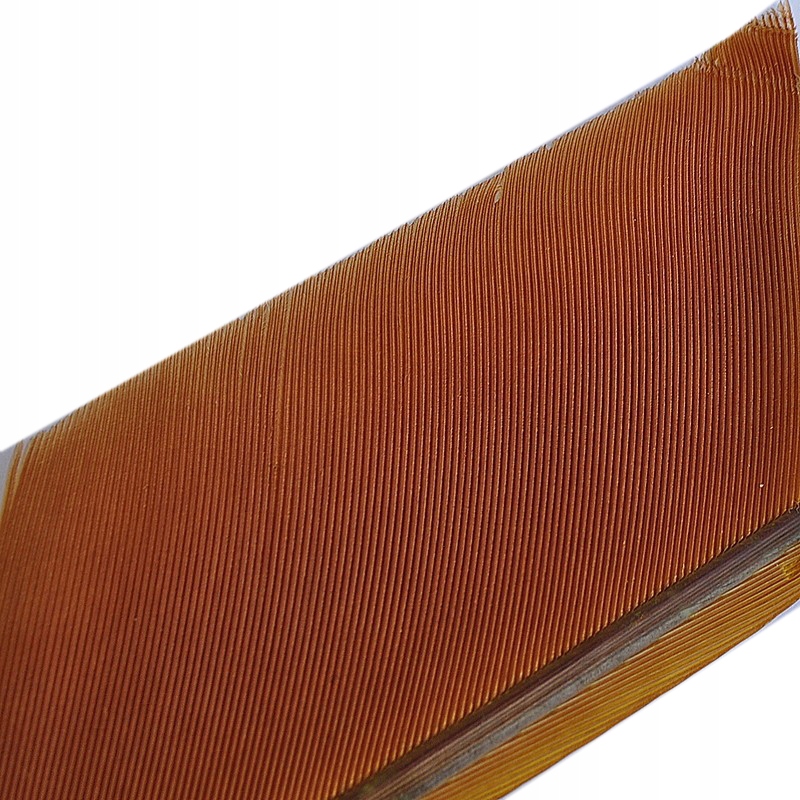 Top Fly Lotka pawia Peacock Segmented Yellow Brown