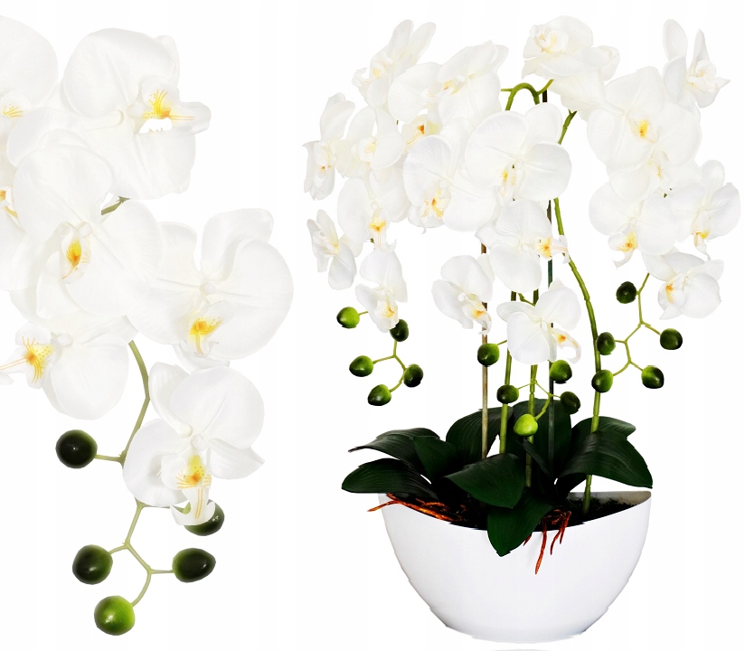 

Storczyk Sztuczny Storczyki Kwiat Orchidea Kwiaty