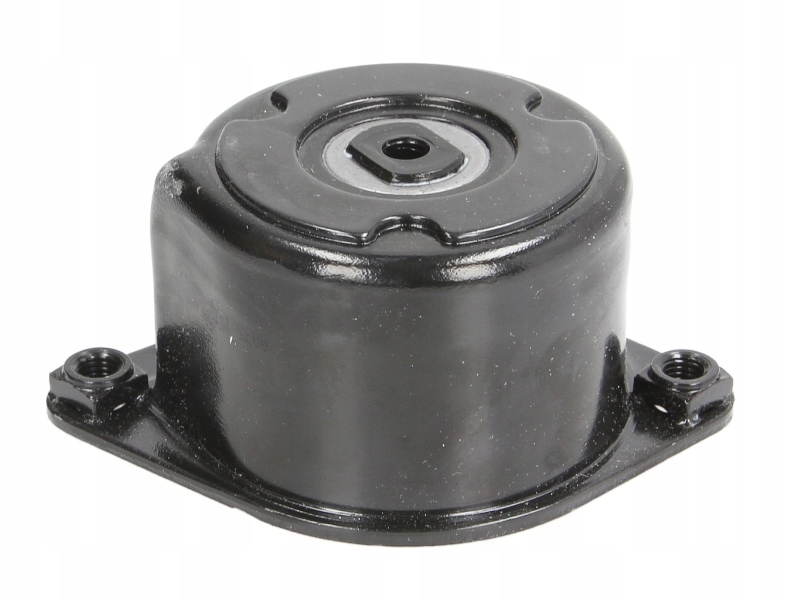 Schaeffler INA 534 0170 10 натяжитель поликлинового ремня