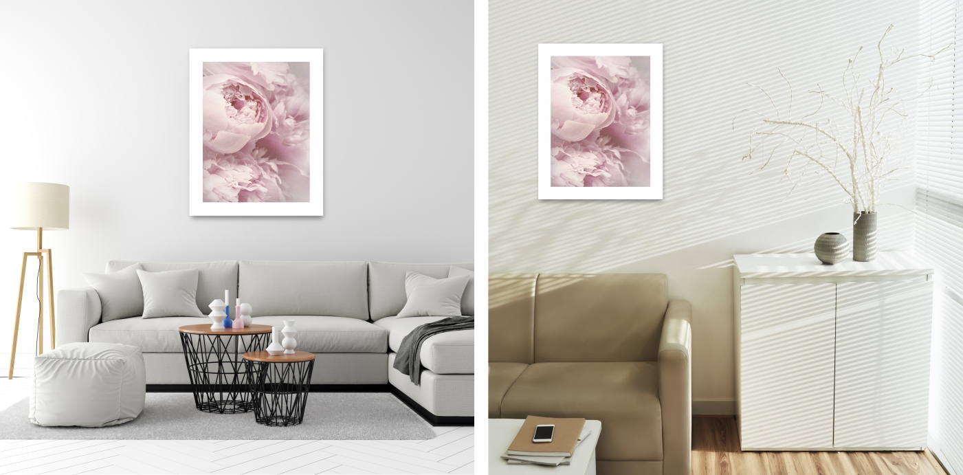 PIWONIE PEONIE KWIATY plakat A2 59,4x42cm #122 Tematyka rośliny