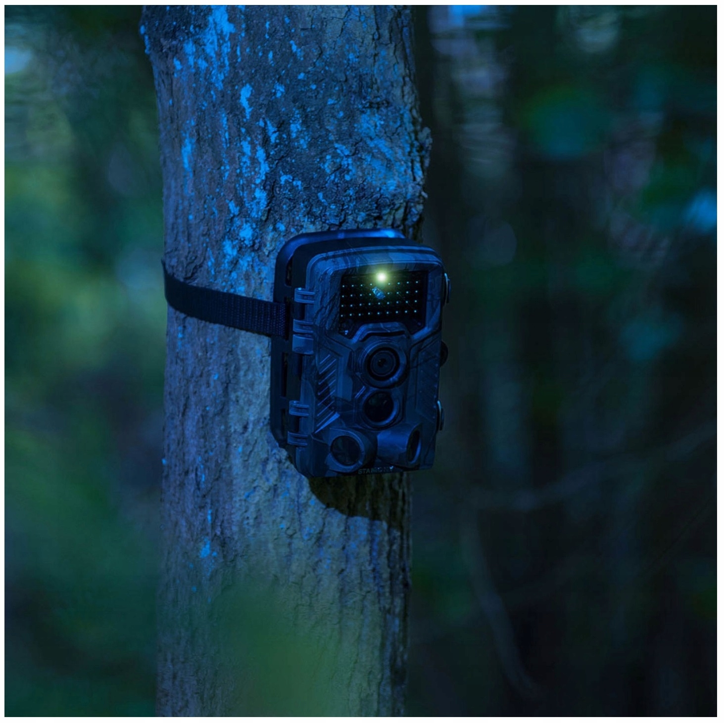 Fotopułapka kamera leśna 8 MP Full HD nocna Stamony ST-HC-8000G 10240005