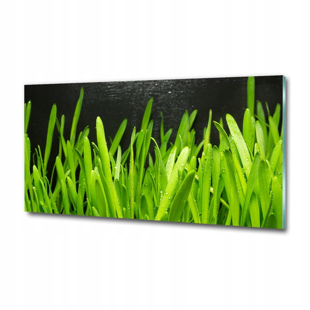 Skleněný fotoobraz na zeď Tráva 120x60