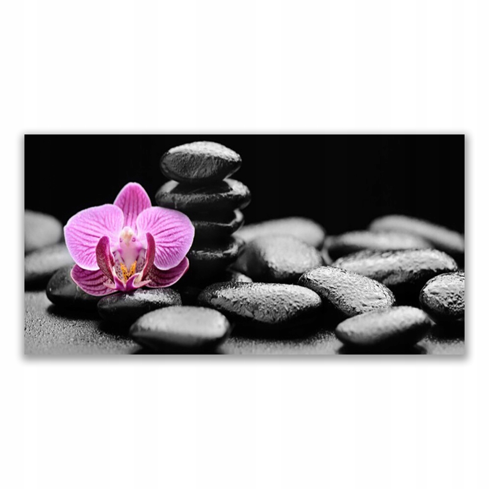 

Obraz ścienny wiszący 140x70 Kwiat Kamienie Sztuka